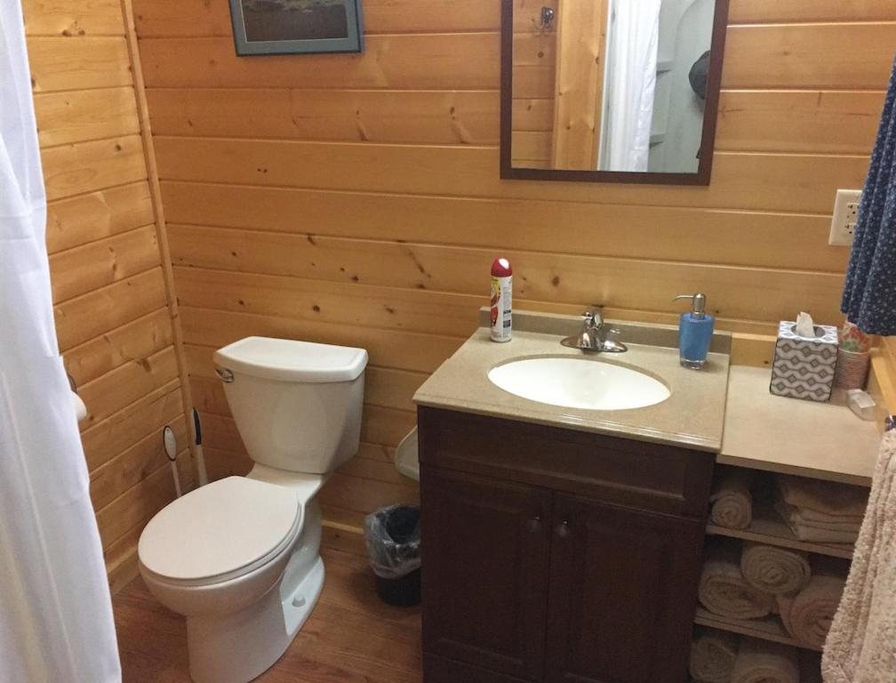 Talkeetna Lakeside Cabins Денали Екстериор снимка